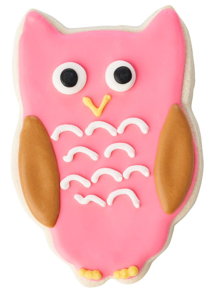 Welcome Little One Owl Decorated Cookie Bouquet