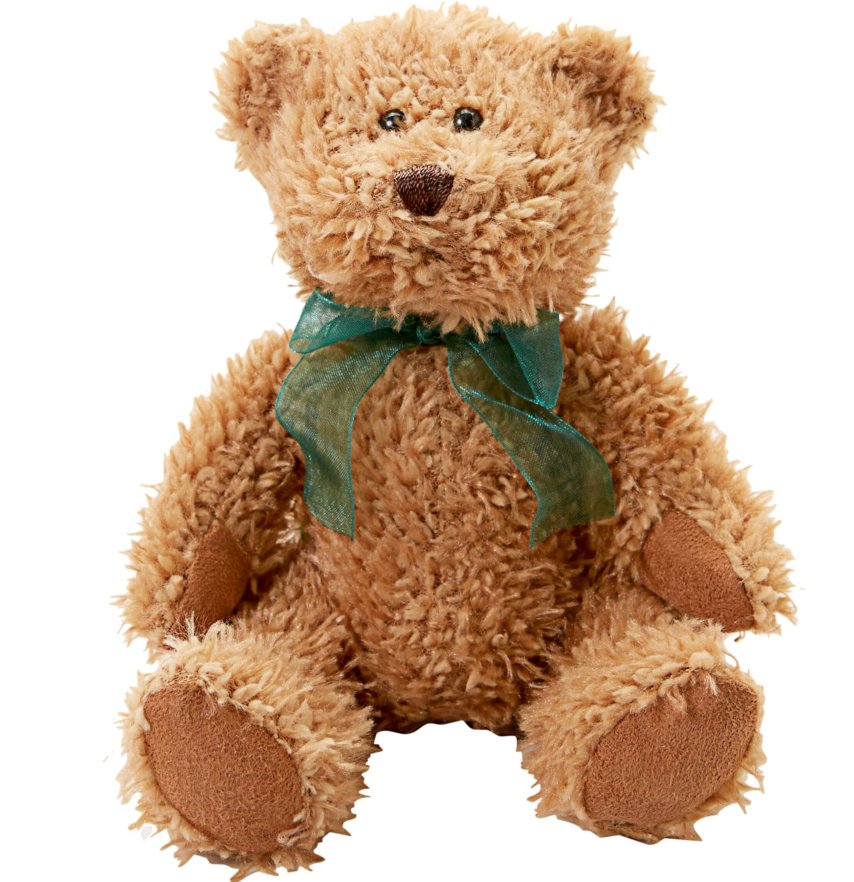 Get Well Teddy Bear Cookie Bouquet